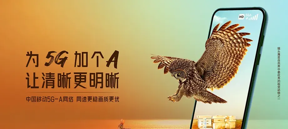 蠡县蠡县辛兴镇 移动宽带